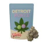 Detroit Runtz (Hybrid)