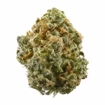 White Guava AAAA+