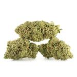 Lemon Skunk AAAA+