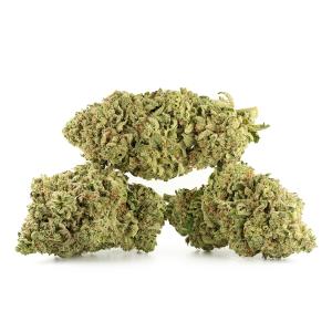 Lemon Skunk AAAA+