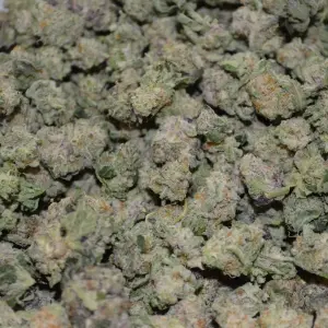 Detroit Runtz Popcorn AAAA+