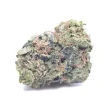 MK ULTRA AAAA+