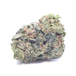 MK ULTRA AAAA+