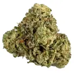Sour Grapefruit AAAA+