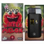 Burn - Disposable Vape Pen 3g